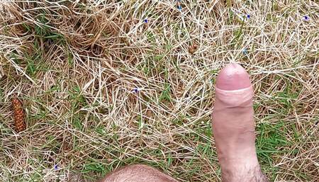 Naughty in the nature