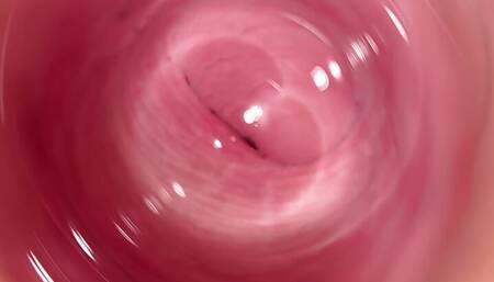 Camera Deep inside Mia's small pussy