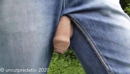 Big flaccid cock shows off in forest hike