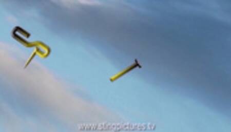 Scouting For More Trouble HD