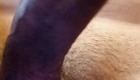 Big cock