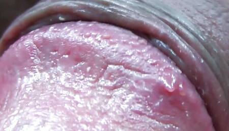 Extreme Cock And Asshole Close Up