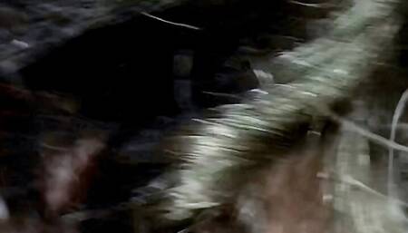 Desi Collage girl Leaked Mms Sex Video in Hindi Audio very hard fucking