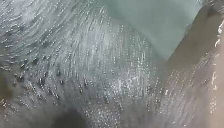 The bitch shows her cunt on camera.