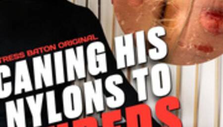 Caning His Nylons To Shreds HD (for Windows)