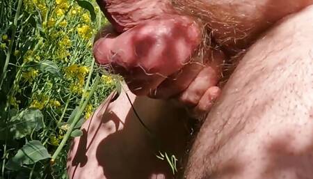 chubby big hairy belly man pissing outdoor Part 2