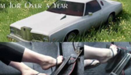 The Land Yacht Series: Sat for Over a Year (mp4 1080p)