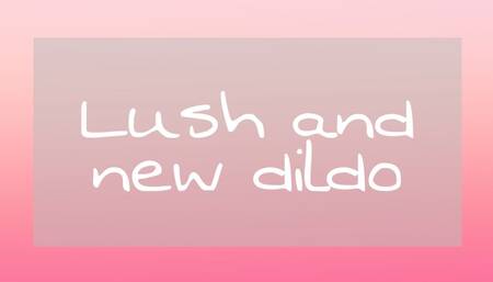 Lush and new dildo