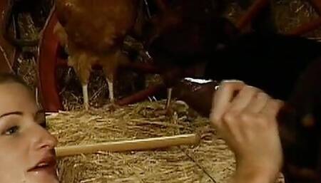 Various Artist - Homey In A Haystack