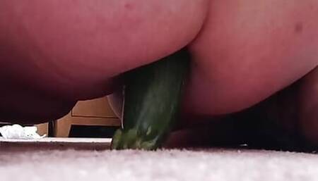 Courgette #2