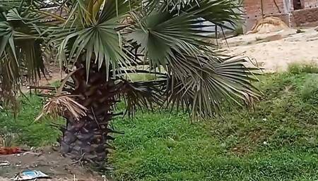 mohani ko pela behind the village