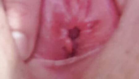 Pink Pussy Play