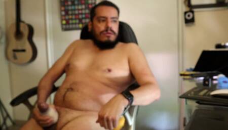 New video bear webcam