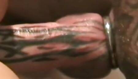 Amateur German pierced cock stud cumming after barebacking