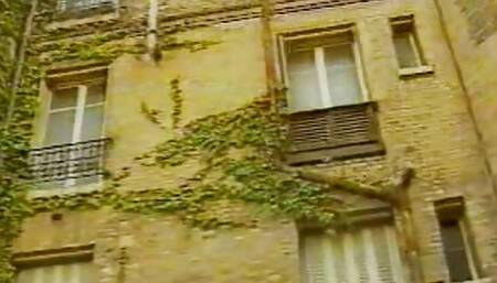 Bunny Anal (1993)