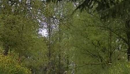 MISSIONE XXX POSSIBILE - (original MOVIE version in Full HD
