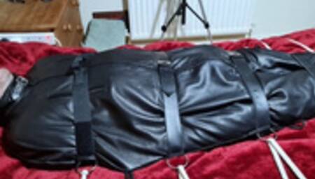 Handjob on man in sleepsack by woman 2-BBW domination,BBW bondage,man in bondage,male bondage,man tied up,leather sleepsack,sleep sack,amateur, bound and gagged man,bed bound,handjob,pre cum,edging,edged,