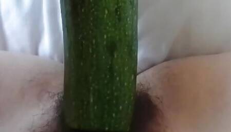 cucumber