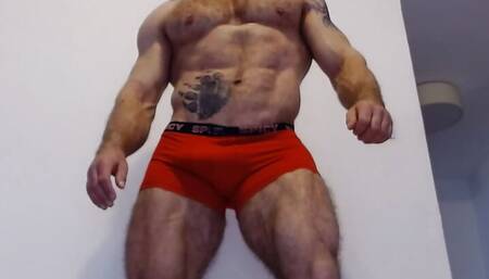 The powerful hairy bodybuilder does a striptease, poses, dances and shows a hairy hole in the ass, vol. 2