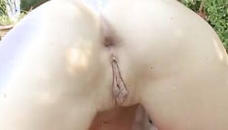 An Public Plowed with a Adorable chick