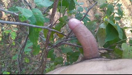 Dropped and naked in the forest.