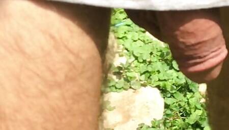 Hiking Big Cock Without Pants