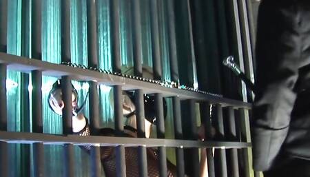 Carly parker is a hot blonde with big tits in fishnet who loves to be directed. Carly parker let out of cage to suck cock