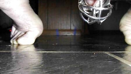 Chastity Cage Prostate milking