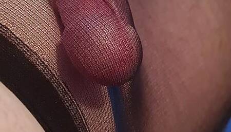 Lycra cum