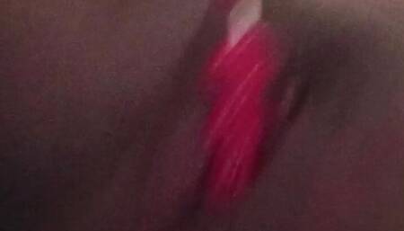Lobanegra26