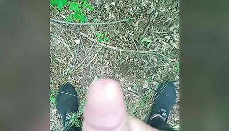 wank cruise. jerking off quickly in the woods until step mom sees
