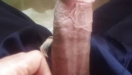 Beauty Girls Sex Lab