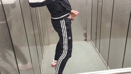 I'm jerking off in the elevator and I hope someone comes along