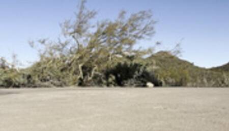 Flirty Hiker Girl POV Foot Worship and JOI