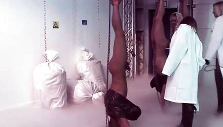 Freaky BDSM orgy with kinky babes in lingerie