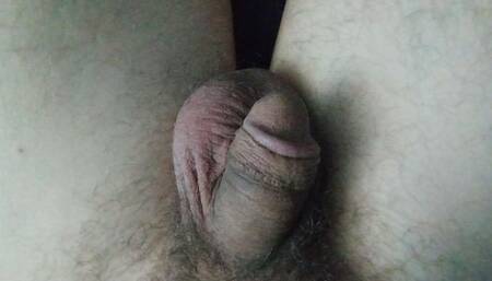 Wanking my dear cock and trying to bust a nut.
