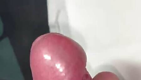 young cock