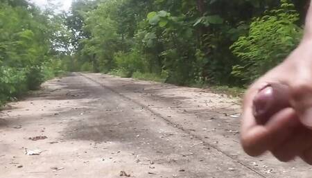 masturbate roadside