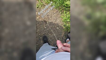 Pissing