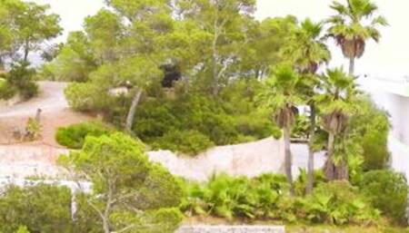 TUSHY Amazingly goddess Bae Ginebra & her boss have intense anal