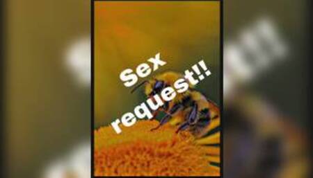 Sex request 0v0