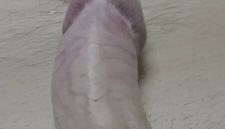 precum
