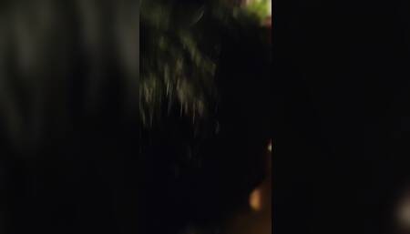 Horny Indian girl likes to suck a good cock