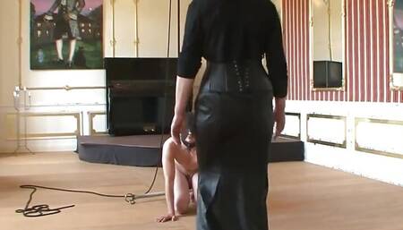 Hot domina makes men eat pussy and get fucked by strap on