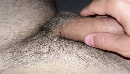 Sleeping Cock