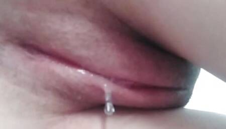 pussy