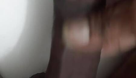 Black Bengal Cock