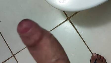 Penis