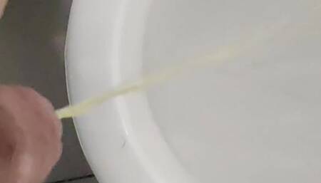 Jerk in Public Hotel Toilette Pissing
