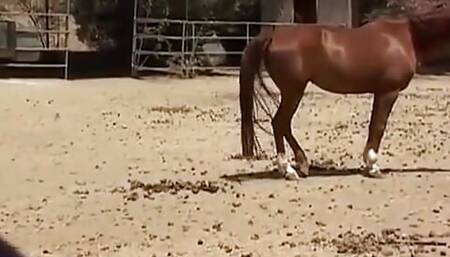 Ryan Meadows Is A Wild College Coed Girl - Perv Milfs n Teens